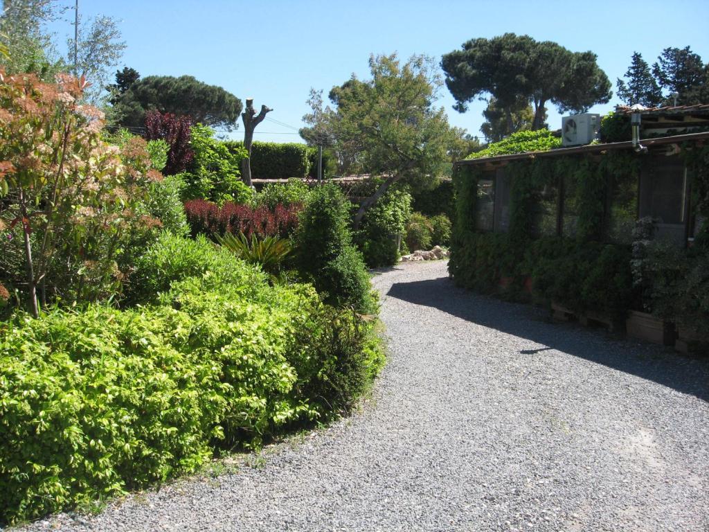 Country Apartments Castel di Decima Экстерьер фото