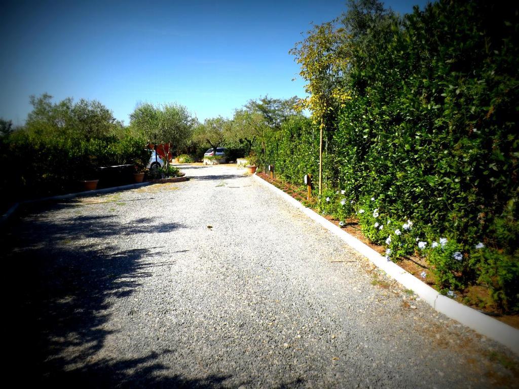 Country Apartments Castel di Decima Экстерьер фото